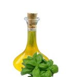 wholesale 100% natural organic basil oil