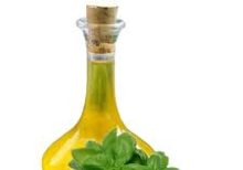 wholesale 100% natural organic basil oil