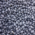 High Quality USA Organic Black Kidney Beans