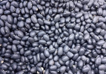 High Quality USA Organic Black Kidney Beans