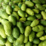 Fresh Graviola/Soursop fruit from USA