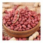Wholesale Low Price USA Peanuts