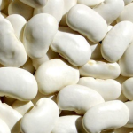 High Quality Organic White Kidney Beans